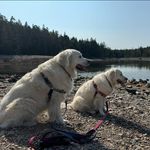 Paul Messer - @pbangor - Instagram