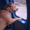 paulmeszaros - @paulmeszaros - TikTok