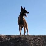 Paul Metta - @paulmetta - Instagram