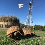 Paul Michau - @p.michau - Instagram