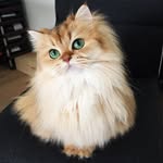 Paul Michelson - @paulmichelson28 - Instagram