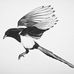 Paul Millar - Facebook
