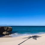 Paul Milman - @paulmilman_ - Instagram