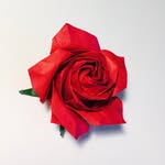 Paul Milo - @paul.origami - Instagram