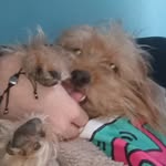 Paul Milo - @paul.derberger - Instagram