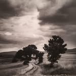 Paul Minier - @polomolo_dmp - Instagram