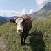 Paul Minier - Facebook
