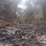 Paulo Miramontes - @paulo.miramontes - Instagram