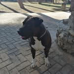 Paul Mirea - @paul_mirea - Instagram