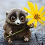 Paul Miro - @_miro_vip_ - Instagram