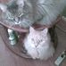 Paul Misner - Facebook
