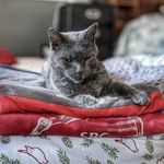 Paul Mize - @paulmize27 - Instagram