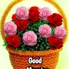 Paul Terry Mize - @paulterrymize - TikTok