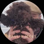 Paul & Mole 🐾 - @getjourneyman - Instagram