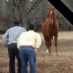Paul Moorehead Jr - @paul.j.moorehead.3 - Instagram