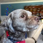 Paul Moose - @paul.moose_34 - Instagram
