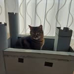 Paul Moosmayr - @paulmoosmayr - Instagram