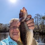 Paul Morello - @paulmorello6 - Instagram