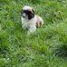 Marie-paule Morgenthaler - Facebook