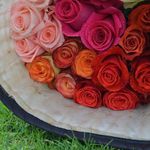 Paul Morillo - @expim2016 - Instagram
