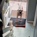 Paul Mott - @paul.mott.940 - Instagram