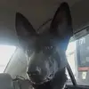 paulmott67 - @paulmott67 - TikTok