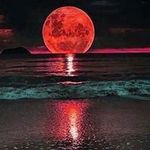 Paul Willie Mowery - @paul.mowery - Instagram