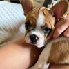 Paul Mullins - @paul.mullins478 - TikTok