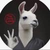 Paul Muniz - @paulmuniz3 - TikTok