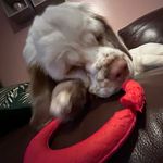 Paul Munley - @paulmunley - Instagram