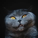 Paul Munster - @paulmunster - Instagram