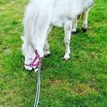 paul münster - @paul_schmiedt - Instagram