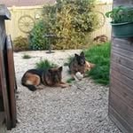 Paul Muston - @paul.muston.7921 - Instagram