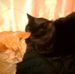 Paul Mutter - Facebook