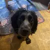 paulnattrass819 - @paulnattrass819 - TikTok