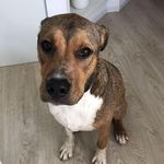 Paul Naylor - @paul.naylor.90410834 - Instagram