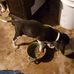 Paul Neeley - Facebook