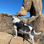 Paul Negus - @paulnegus - Instagram