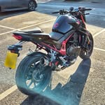 Paul Negus - @negusbear - Instagram