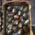 Paul Nesbit - @paul.nesbit - Instagram
