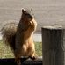 Paul Kneitzel - Facebook