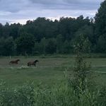 PAUL NEUMANN - @paulneuneu - Instagram