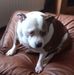 Paul Newcombe - Facebook