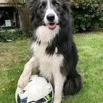 Paul Newcombe - @pala1com2022 - Instagram