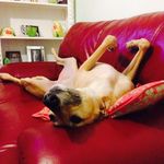 Paul Newell - @newell.paul - Instagram