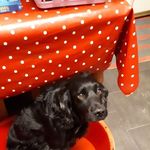 Paul Newell - @paul.newell.71216 - Instagram