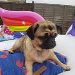 Paul Newell - @paul.newell.332 - Instagram