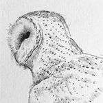 Paul Newman SGFA - @paulnewmanartist - Instagram