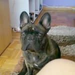 paul Nicklas tsh - @paulnicklast - Instagram