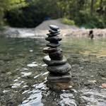 Paul Nicklin - @wiseeyeear - Instagram